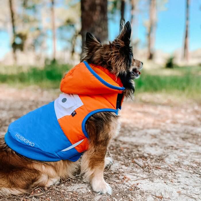 Tiny hot sale dog jackets